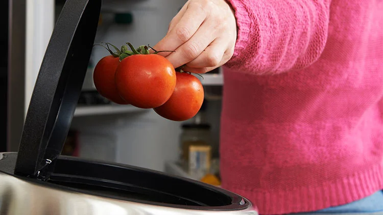 Saving food means saving money: some tips for keeping food fresh